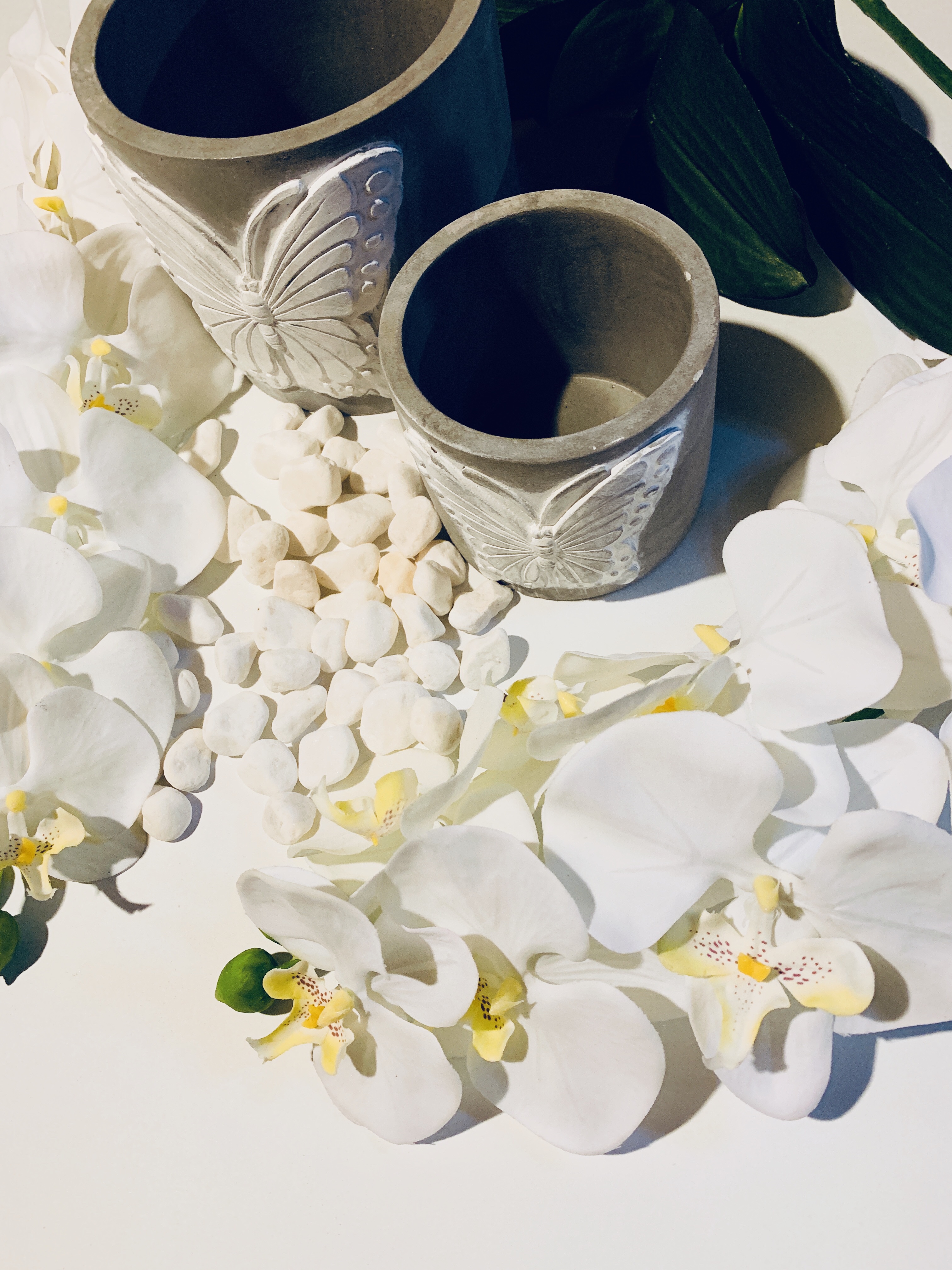 57413051197__ab026b32-f90d-48f7-8f44-7058b2b1df50.fullsizerender